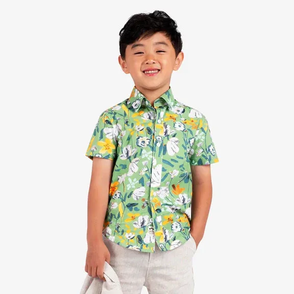 Appaman Boys Day Party Shirt  D9DPS-IRE  Ivy Rose