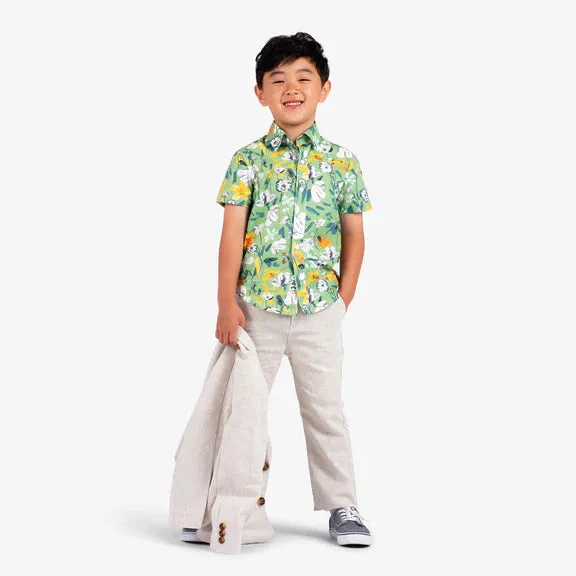 Appaman Boys Day Party Shirt  D9DPS-IRE  Ivy Rose